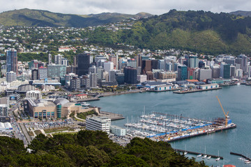 Wellington Skyline and Harbour © FiledIMAGE