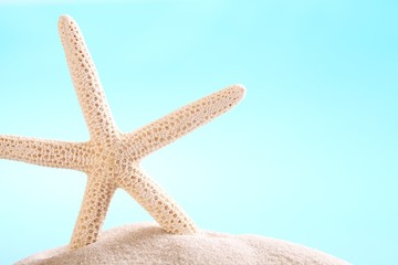 Fototapeta na wymiar Close-up of starfish on sand with copy space