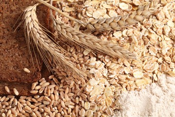Close-up of rye bread, wheat, cereal flakes and wholegrain flour