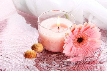 Beautiful pink candle with flower in water