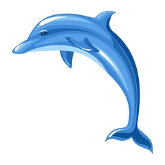Muurstickers Dolfijn. Vector illustratie. © naddya
