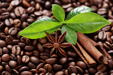 coffee beans