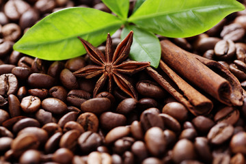 coffee beans