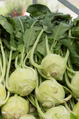 Kohlrabi