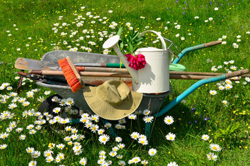 Garten Werkzeug Blumenwiese