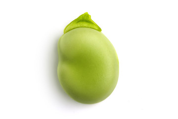 green broad bean