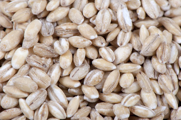 Pearl barley