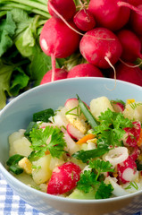 salad of fresh vegetables