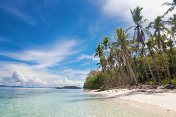 Beautiful beach with tropical palm