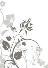 Abstract floral background