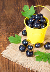 black currants in a small bucket close up
