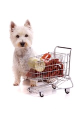Hund Westie and Cart