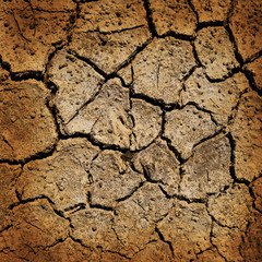 Cracked earth