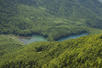 Fototapeta na wymiar Biogradsko lake among the green forest