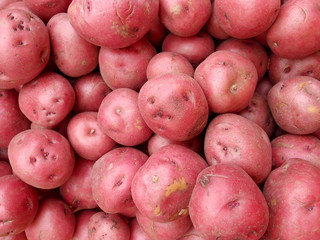 Pile of Red Potatoes