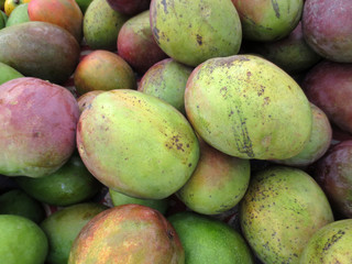 Mangos for sale at Market