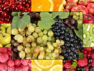 Colorful healthy fruit collage
