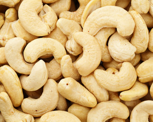 Fresh cashew nuts close up