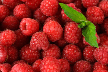 Ripe sweet raspberries, close up