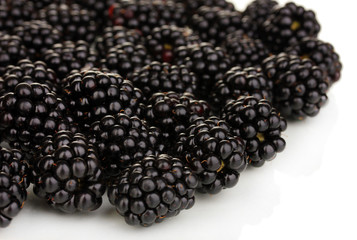 Sweet blackberry close up