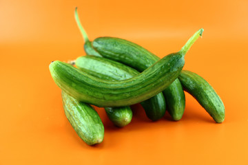Fresh Cucumber