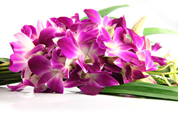 Bouquet of purple orchids.