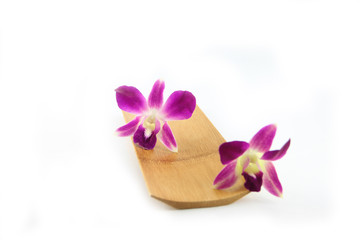 Fototapeta na wymiar Purple orchid in bamboo dish.