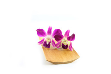 Purple orchid in bamboo dish.