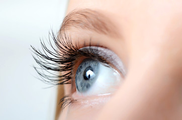 Female eye with long eyelashes close-up - obrazy, fototapety, plakaty