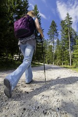 Nordic-walking in mountains