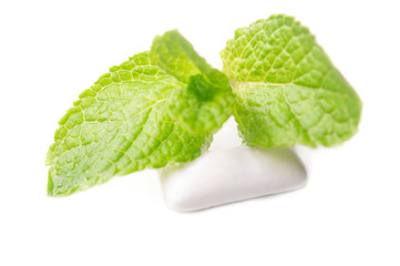 Chewing gums with green mint