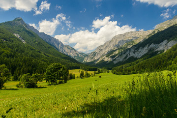 Fototapeta na wymiar Dolina Seewiesen, Styria, Austria.