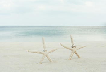 Fototapeta na wymiar Obrączki z rozgwiazda na piaszczystej plaży.