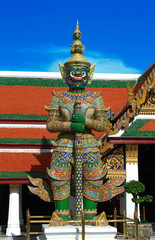 Fototapeta premium thai giant-2