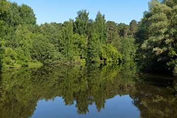 Fototapeta na wymiar Summer landscape with trees reflecting in a lake