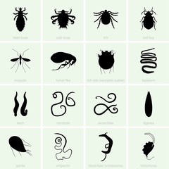 Human parasite icons - obrazy, fototapety, plakaty