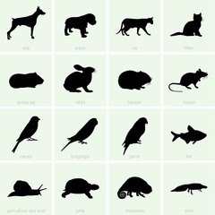 Pet icons