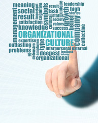 organizational culture