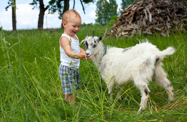 little boy and baby goat