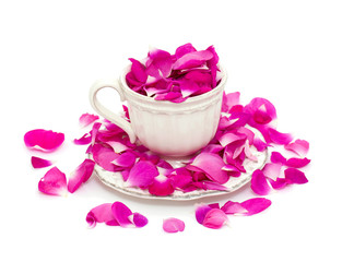 pink rose petals in a beautiful tea cup