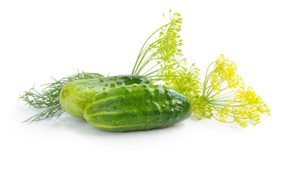 Preparation of cucumbers and greenery is to canning