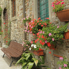 Fototapeta na wymiar Kwiaty przed domem w Toskanii wsi Volpaia