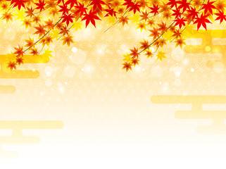 Fototapeta premium 秋 もみじ 背景