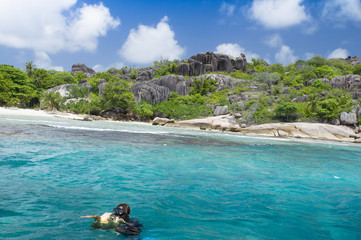 A snorkeler at an island coral reef with turtle. Seychelles.