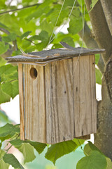 Old birdhouse