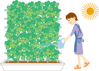 グリーンカーテン