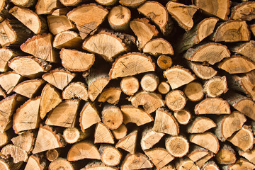 Fire wood
