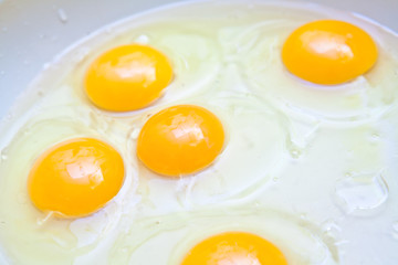 Crude protein and egg yolk in a frying pan