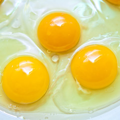 Crude protein and egg yolk in a frying pan