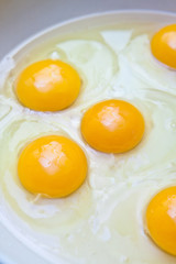 Crude protein and egg yolk in a frying pan